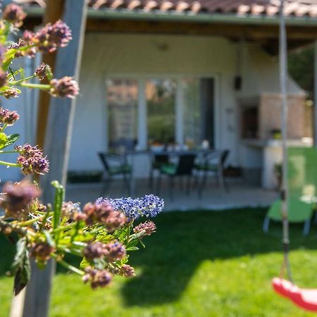 Apartment Green Garden Pula Dış mekan fotoğraf